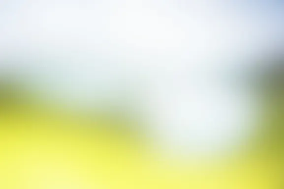 Mint Kasino Sokongan